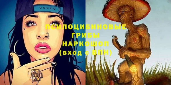 прущие грибы Алексеевка