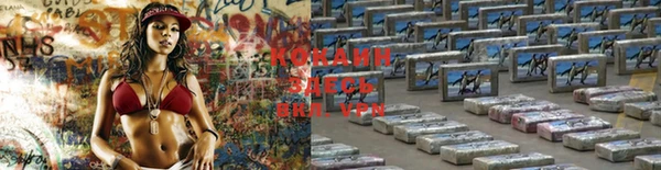 индика Абдулино
