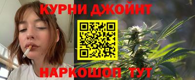 сатива Кинель