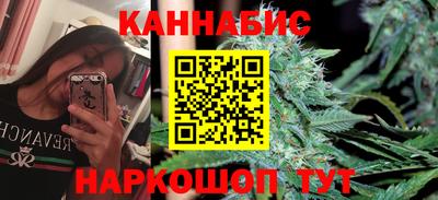 амф Кингисепп