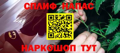 амф Кингисепп
