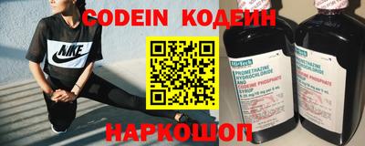 амф Кингисепп