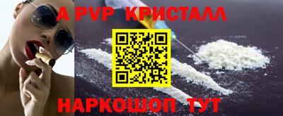 амф Кингисепп