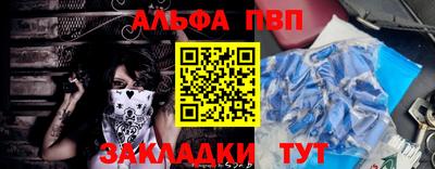 амф Кингисепп