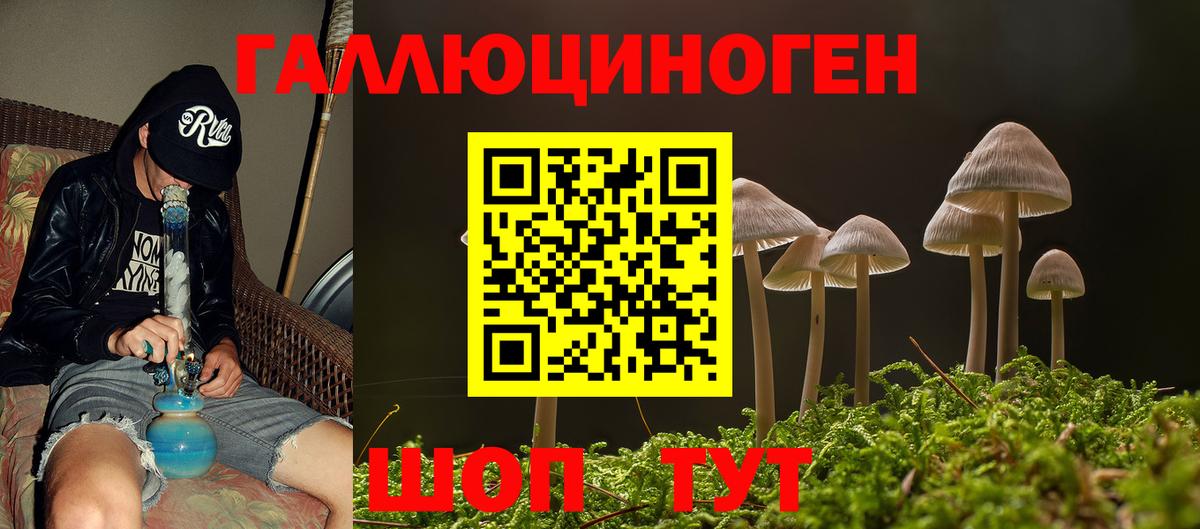 Псилоцибиновые грибы MAGIC MUSHROOMS  Галлюциногенные грибы GOLDEN TEACHER  Усолье-Сибирское  Вход с VPN 